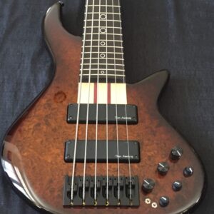 6 String Basses