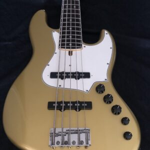 ALLEVA COPPOLO LG-5 Aztec Gold - New 2023 SOLD